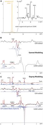 Importance of Linear Combination Modeling for Quantification of Glutathione and γ-Aminobutyric Acid Levels Using Hadamard-Edited Magnetic Resonance Spectroscopy